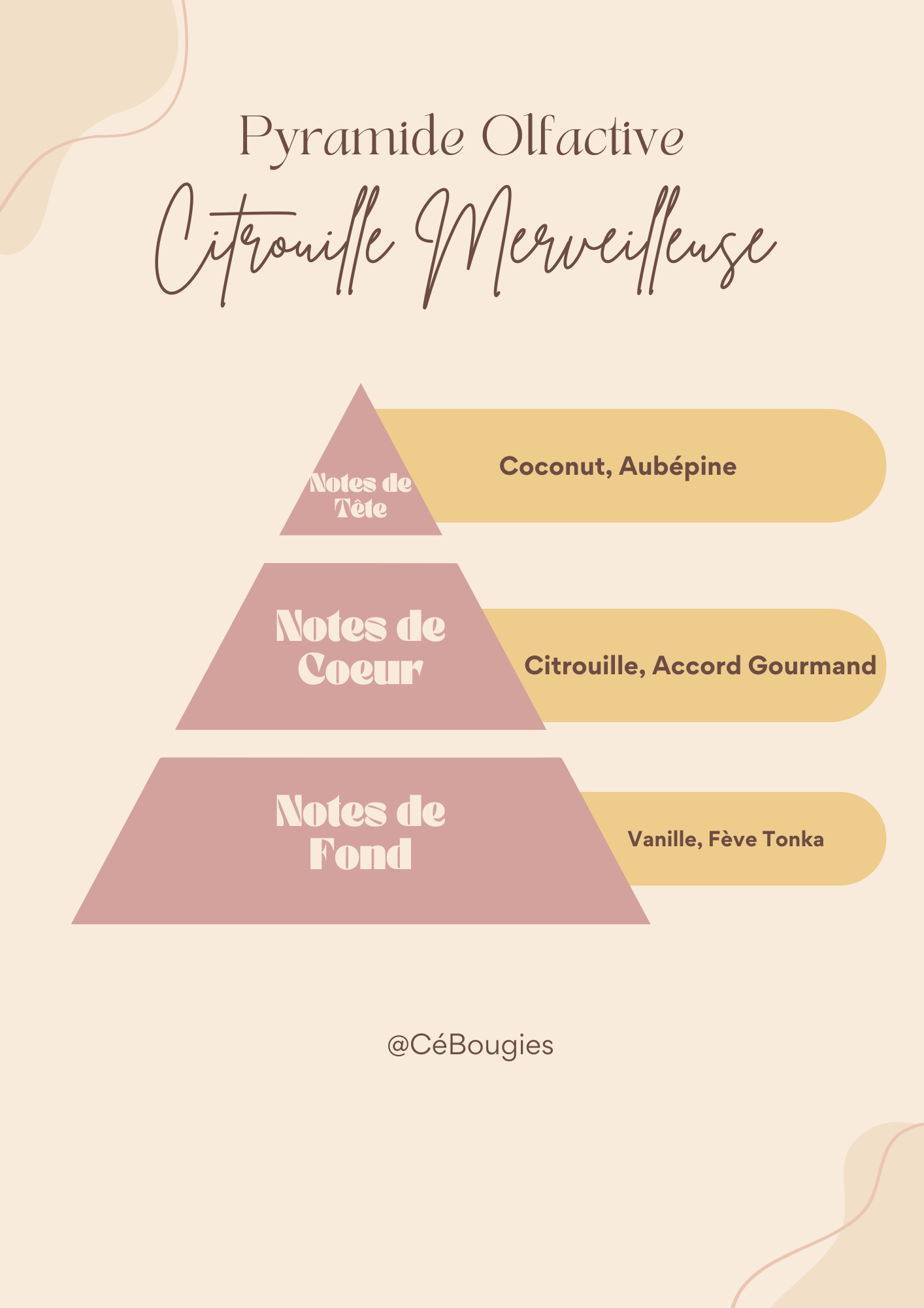 La Classique - Citrouille Merveilleuse