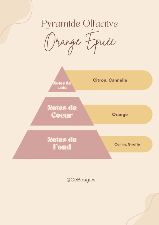 La Classique - Orange Épicée